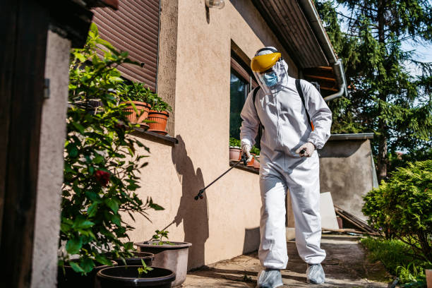 Best Pest Prevention Services  in Branson, MO