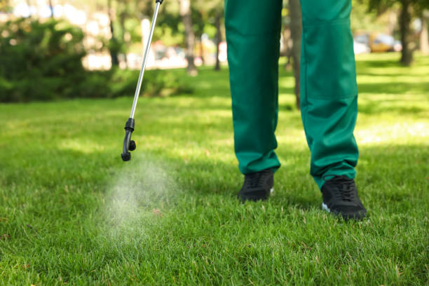 Trusted Branson, MO Pest Control Experts