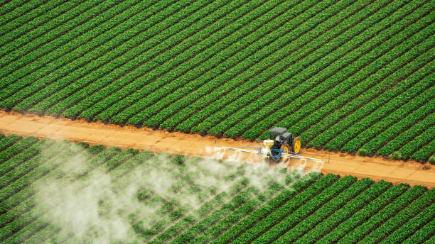 Best Commercial Pest Control Services  in Branson, MO