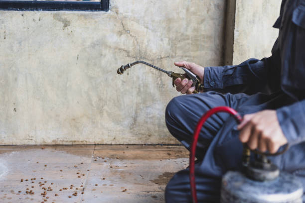 Best Local Pest Control Services  in Branson, MO